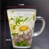 Floral Glass Mug Set 240ml 6pcs W7.8cm H10cm